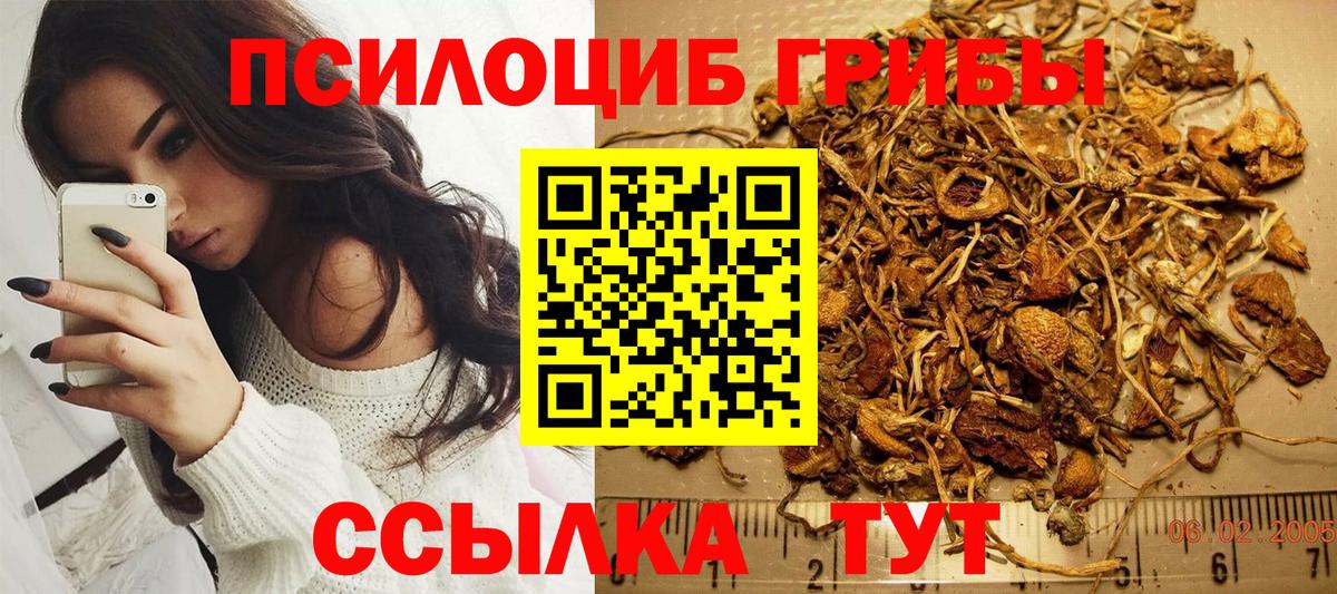 Псилоцибиновые грибы Psilocybine cubensis Ипатово