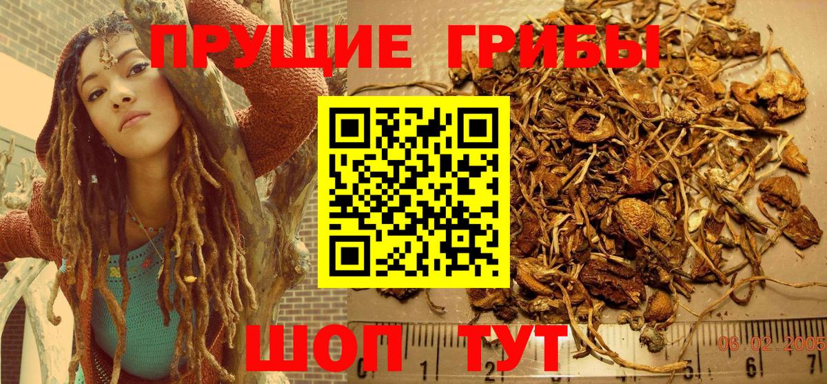 магазин продажи   Вход с VPN  Ипатово  Псилоцибиновые грибы ЛСД 